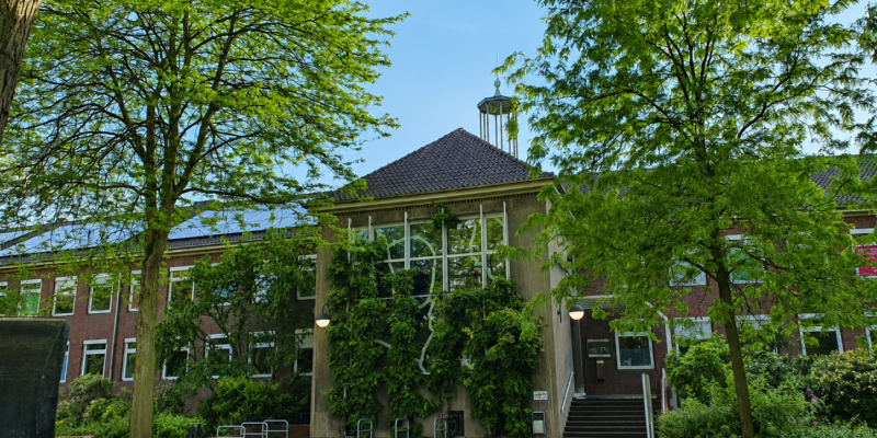 Ein Rathausgebäude, gesäumt von Bäumen