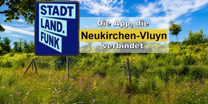 Infotext. Blumenwiese als Hintergrund.